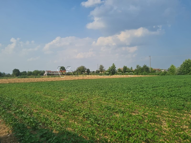 Terreno agricolo in Vendita a Barbarano Mossano, 30'000€, 5234 m²