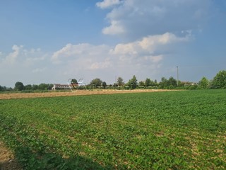 Terreno agricolo in Vendita a Barbarano Mossano, 30'000&euro;, 5234 m²