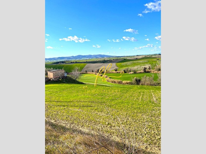 Terreno agricolo in Vendita a Santa Luce, zona Pastina, 60'000€, 40000 m²