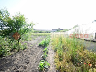 Terreno agricolo in Vendita a Nocera Inferiore, 25'000€, 2000 m²