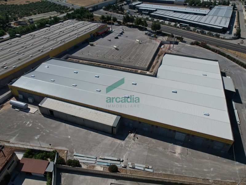 Capannone in Affitto a Terlizzi, zona Terlizzi, 12'800€, 3200 m²