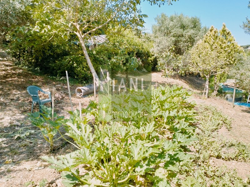 Terreno agricolo in Vendita a Livorno, zona Collinaia, 78'000&euro;, 3400 m²