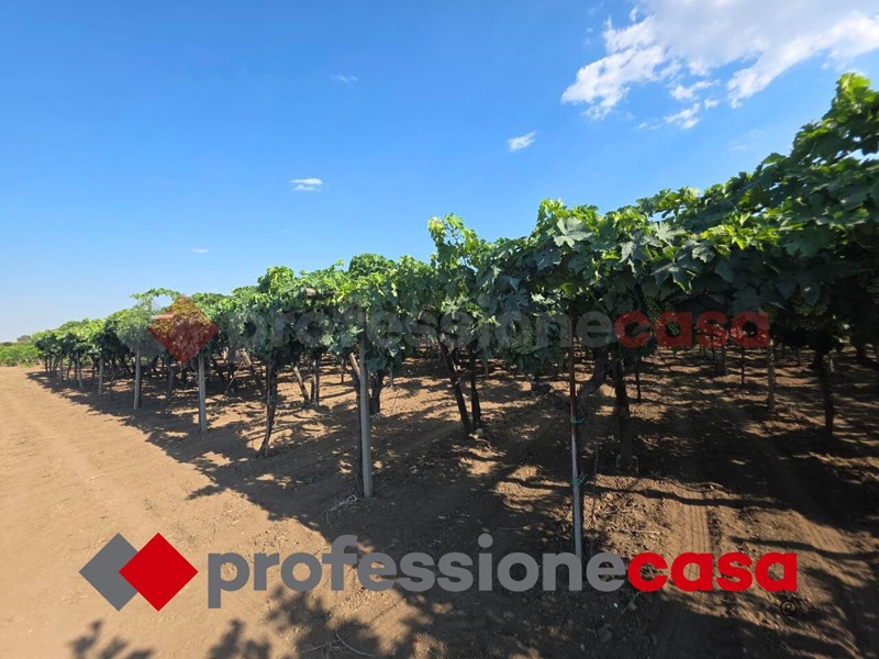 Terreno agricolo in Vendita a Taranto, 20'000€, 6000 m²