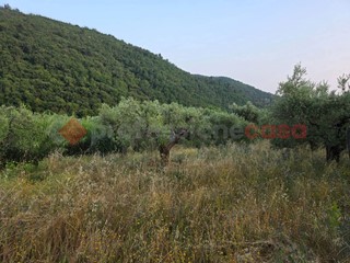 Terreno agricolo in Vendita a Pistoia, 28'000€, 5000 m²