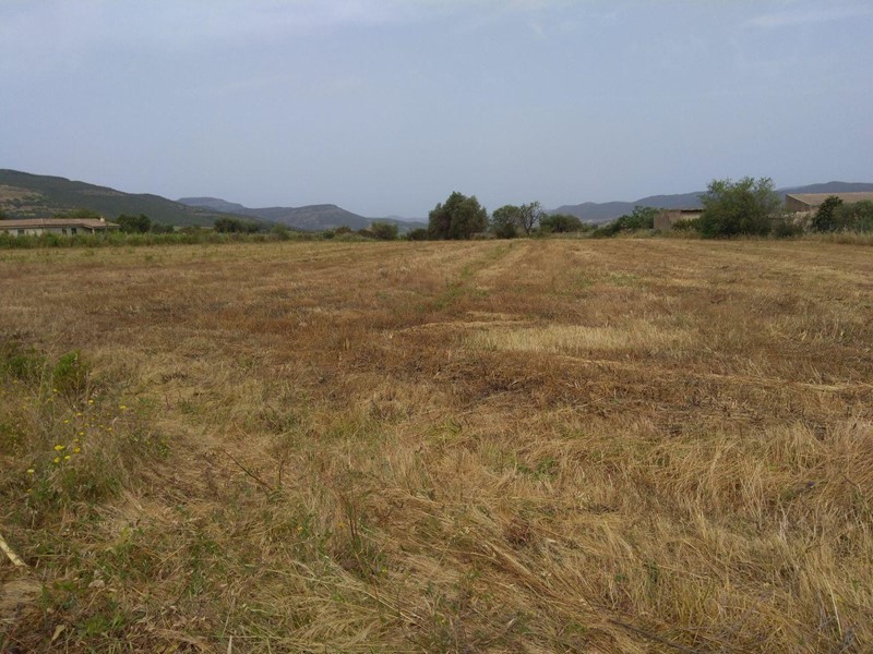 Terreno edificabile in Vendita a Nuxis, 65'000€, 4950 m²