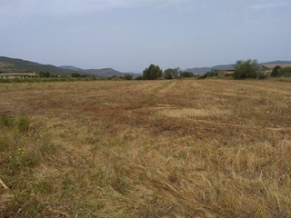 Terreno edificabile in Vendita a Nuxis, 65'000€, 4950 m²