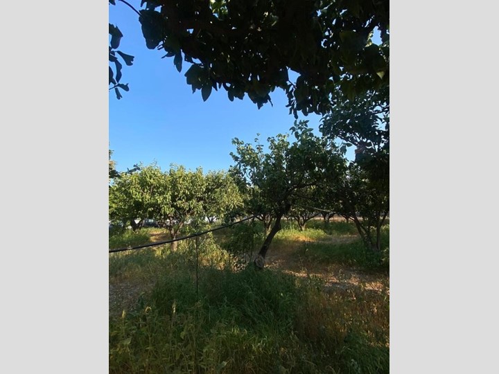 Terreno industriale in Vendita a Melito di Porto Salvo, 90'000€, 1330 m²