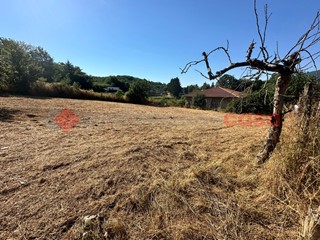 Terreno edificabile in Vendita a Fiuggi, 35'000€, 1100 m²