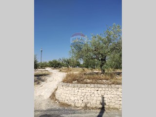 Terreno edificabile in Vendita a Mazzarrone, 60'000€, 16000 m²