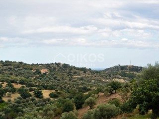 Terreno agricolo in Vendita a Noto, 60'000€, 20000 m²