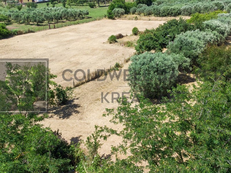 Terreno agricolo in Vendita a Roma, 99'000&euro;, 10000 m²