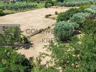 Terreno agricolo in Vendita a Roma, 99'000&euro;, 10000 m²