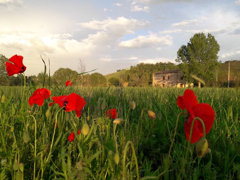 Villa in Affitto a Fermo, 200 m²