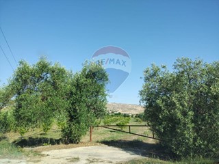 Terreno agricolo in Vendita a Mineo, 80'000€, 33000 m²