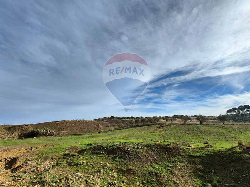 Terreno edificabile in Vendita a Motta Sant'Anastasia, 92'000€, 20000 m²