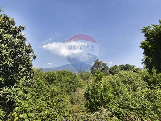 Terreno agricolo in Vendita a Acireale, 250'000€, 17000 m²