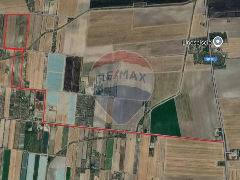 Terreno agricolo in Vendita a Foggia, 149'000&euro;, 66500 m²