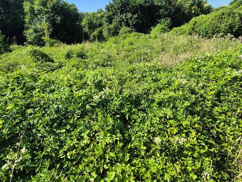 Terreno agricolo in Vendita a Marcianise, 15'500€, 544 m²