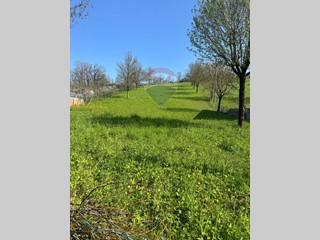 Terreno edificabile in Vendita a Canossa, 99'000€, 2274 m²