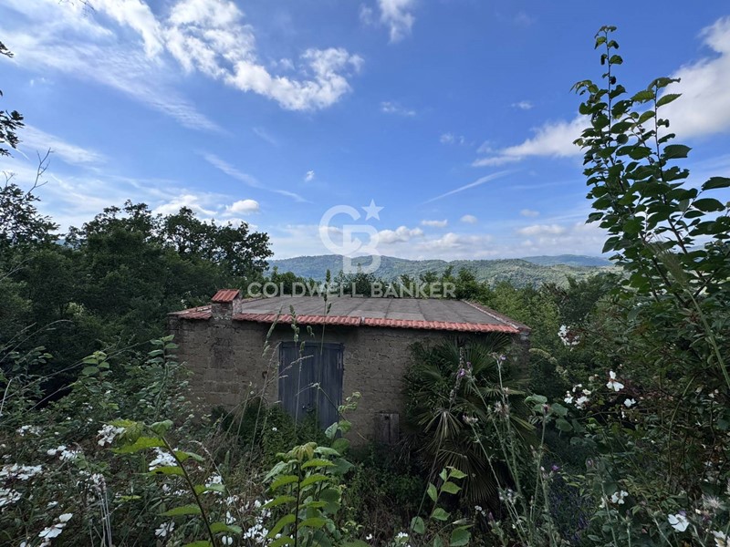 Terreno agricolo in Vendita a Rutino, 40'000&euro;, 30000 m²