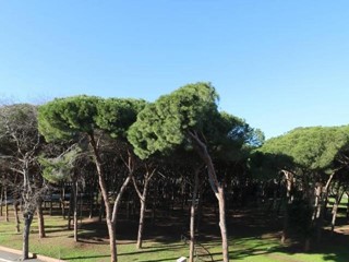 Bilocale in Vendita a Follonica, 220'000€, 40 m²