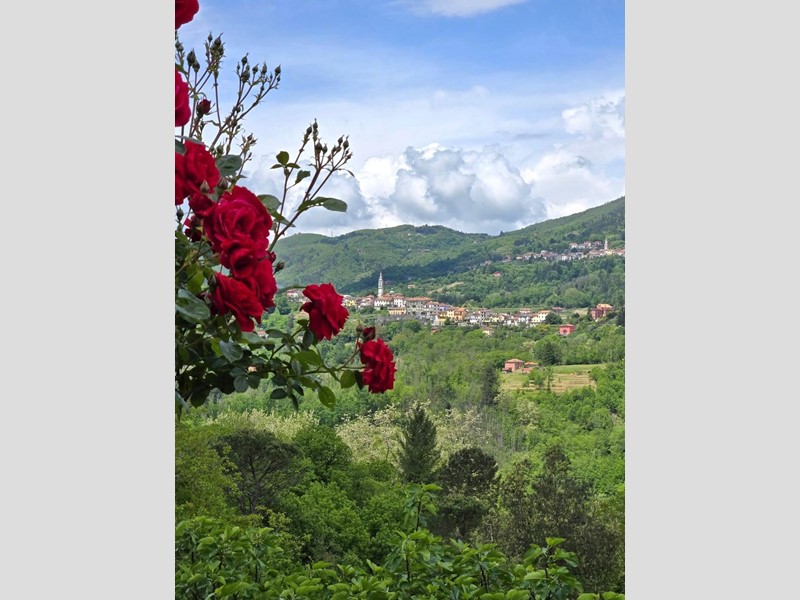 Appartamento in Vendita a Carro, zona Ziona, 79'000€, 165 m², arredato