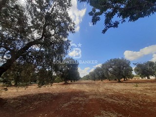Terreno agricolo in Vendita a San Vito dei Normanni, 18'000€, 8500 m²