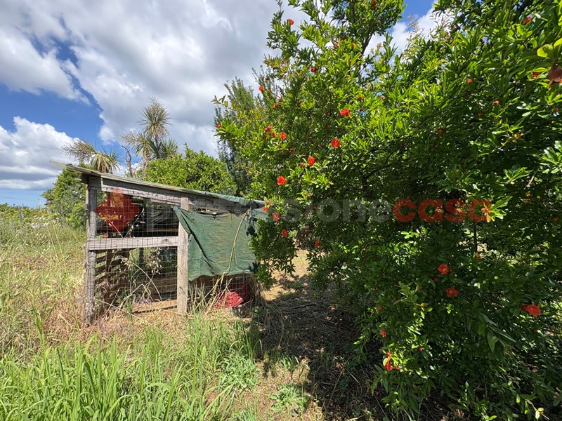 Terreno agricolo in Vendita a Terracina, 26'000€, 1437 m²