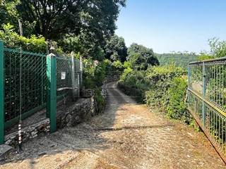 Terreno agricolo in Vendita a Monteviale, 110'000€, 10082 m²