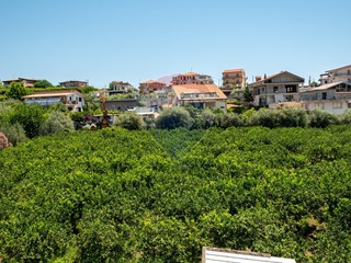 Terreno agricolo in Vendita a Taormina, 190'000€, 6300 m²