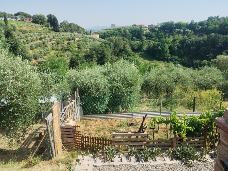 Terreno agricolo in Vendita a Palaia, 45'000€, 13500 m²