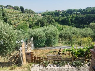 Terreno agricolo in Vendita a Palaia, 45'000€, 13500 m²