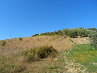 Terreno agricolo in Vendita a Monteprandone, 53'000€, 15000 m²