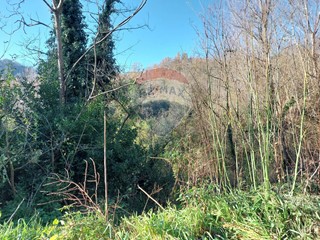 Terreno agricolo in Vendita a Ceppaloni, 3'850€, 4270 m²