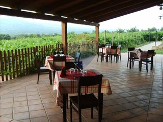 Attività commerciale in Vendita a Solopaca, 160'000€, 200 m²