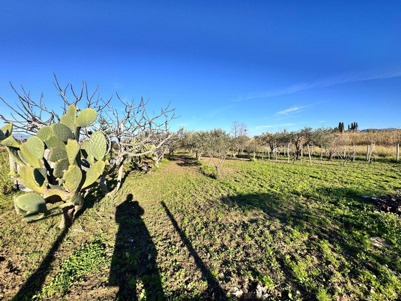 Terreno agricolo in Vendita a Partinico, 15'000€, 3009 m²
