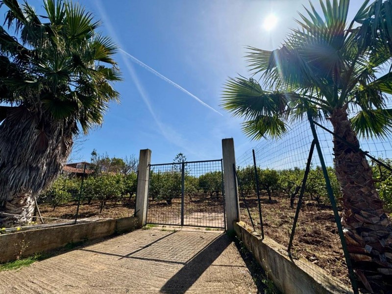 Terreno agricolo in Vendita a Partinico, 100'000€, 5876 m²