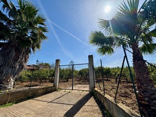 Terreno agricolo in Vendita a Partinico, 100'000€, 5876 m²