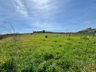 Rustico in Vendita a Partinico, 110'000€, 85 m²