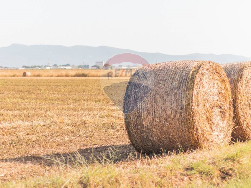 Terreno agricolo in Vendita a Orbetello, 650'000€, 318896 m²