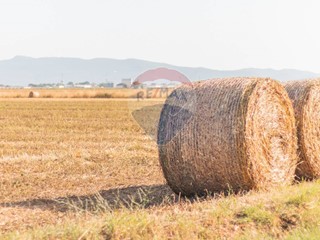Terreno agricolo in Vendita a Orbetello, 650'000€, 318896 m²