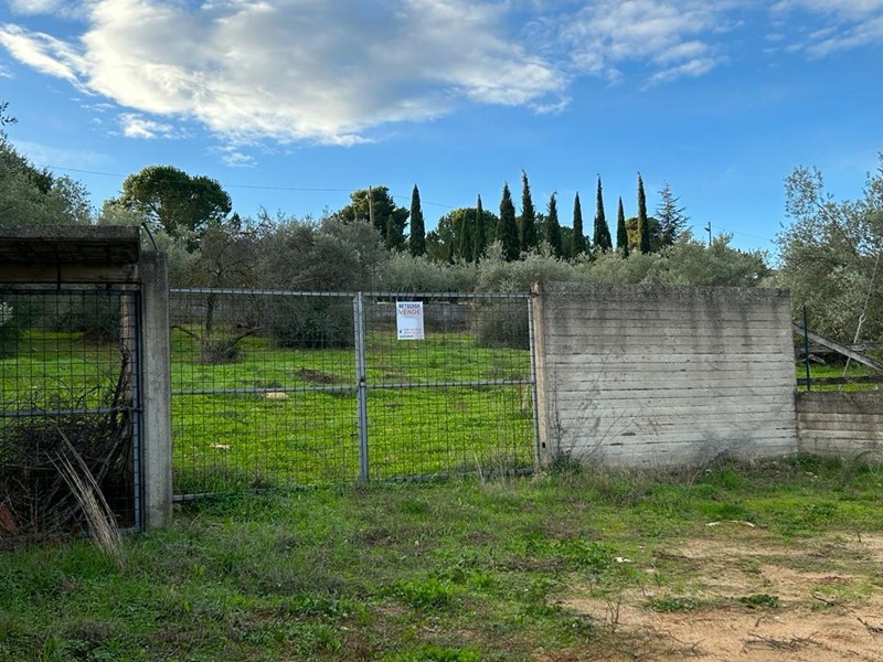 Terreno agricolo in Vendita a Caltanissetta, 55'000€, 5100 m²