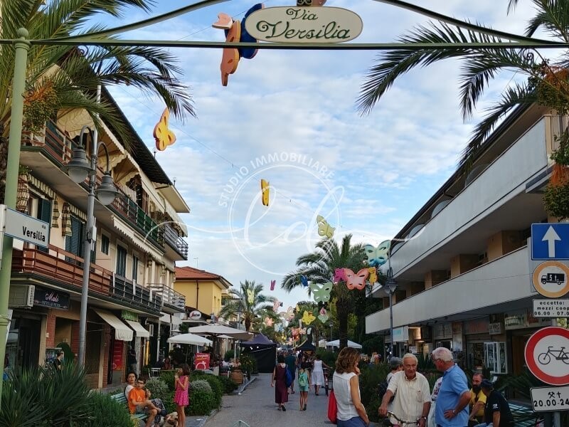 Capannone in Affitto a Pietrasanta, zona Marina Di Pietrasanta, 700€, 25 m²