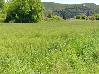 Terreno agricolo in Vendita a Vecchiano, 115'000€, 16100 m²