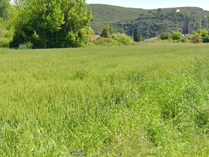 Terreno agricolo in Vendita a Vecchiano, zona Migliarino, 11'500€, 3830 m²