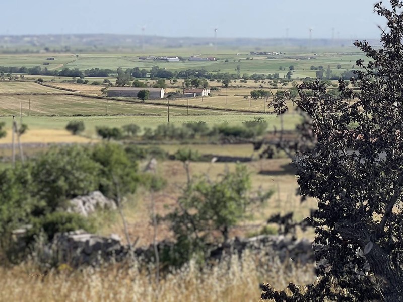 Rustico in Vendita a Santeramo in Colle, 260'000€, 56000 m², con Box