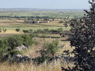 Rustico in Vendita a Santeramo in Colle, 260'000€, 56000 m², con Box