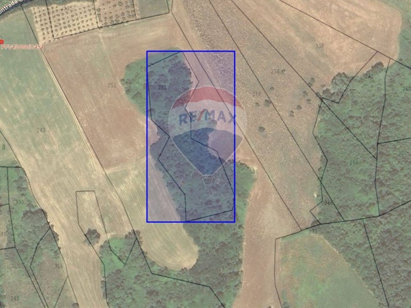 Terreno agricolo in Vendita a Fara Filiorum Petri, 90'000€, 56070 m²