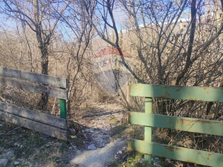 Terreno agricolo in Vendita a Civitella Alfedena, 1'500&euro;, 470 m²