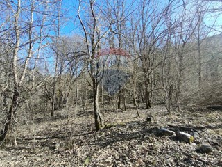 Terreno agricolo in Vendita a Civitella Alfedena, 2'500&euro;, 1443 m²